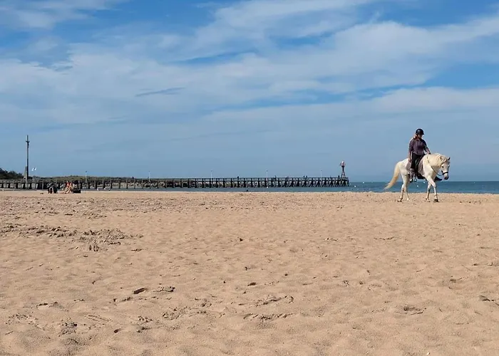 Le Cotier - Appt A 200m De La *